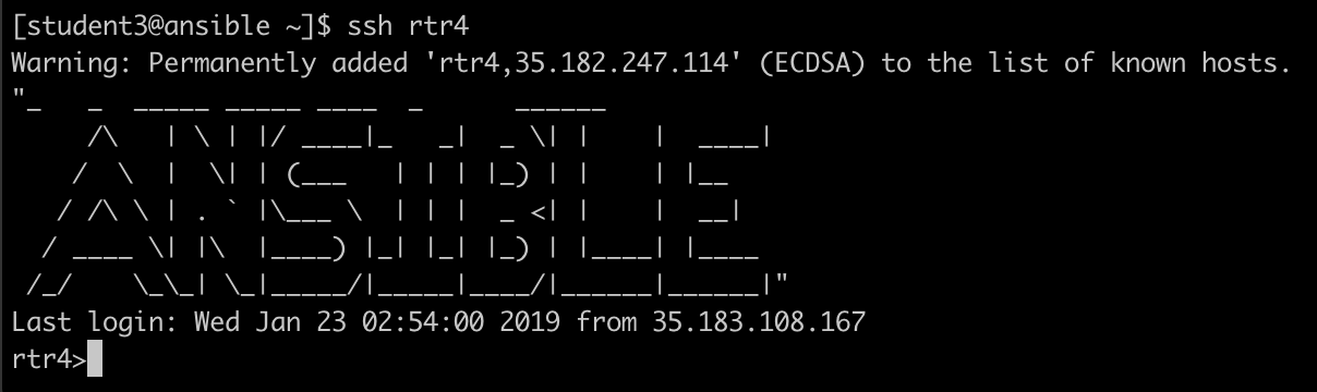 terminal output screen